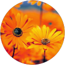 ChIJXeoU7tN3AjoRMZVq qM 7vI 52d83d815f01a56c88152d53c22b8895