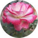 ChIJXeoU7tN3AjoRMZVq qM 7vI 5f117a94a6c7a966ca7002528e8bce91