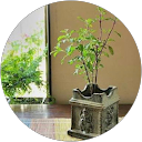 ChIJXeoU7tN3AjoRMZVq qM 7vI a859367dbc96869293eba287ff5fd4e9