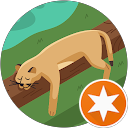 ChIJXeoU7tN3AjoRMZVq qM 7vI ab638da69bb32b8cb40c970caa19acd5