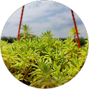 ChIJXeoU7tN3AjoRMZVq qM 7vI fe4fc375f919c29ddb10c143d0201acd